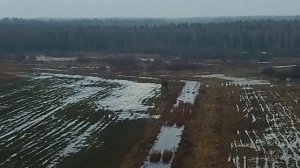 Охота на зубра в Беларуси