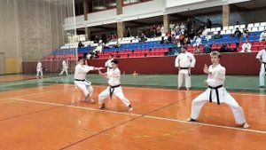 Экзамены в Российской Академии Каратэ-до Шотокан. Часть - 4.
