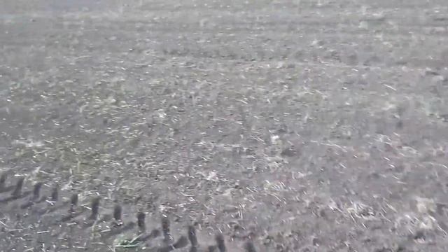 Первый обзор льна! смотреть онлайн