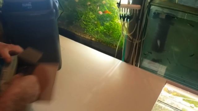 Внутренний фильтр лучше внешника?