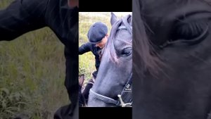 Красивые видео с лошадьми из тт❤🏇