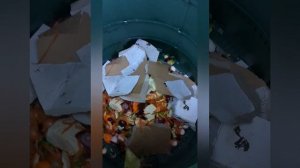 Our review of the Great Green Systems, Green Johanna Compost bin ♻️