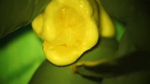 Видео Иван Рузин Реставрация 16