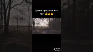 И снова я в родных местах! Душевная песня.