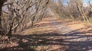 почеп .доманичи.