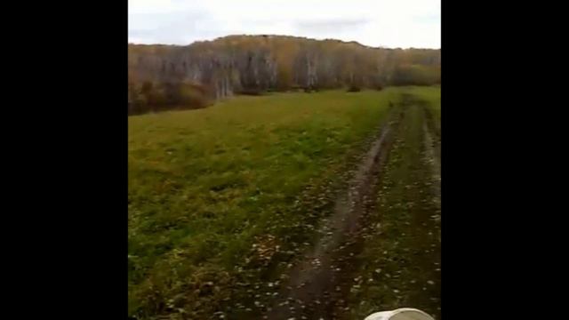 Золотая осень смотреть онлайн