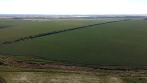 Гай . Вид с юго-востока.