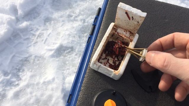 Приспособление для насадки мотыля пучком смотреть онлайн