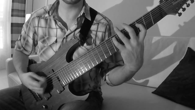 MYCELIA [2016] - Sean in the Snail Shell (Official Guitar Playthrough by Mike Fuller) смотреть онлайн