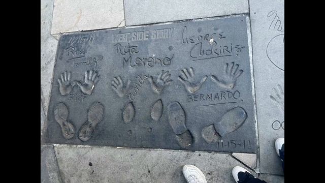 【旅行Vlog】ディズニーアドベンチェーパークにユニバ！！カリフォルニアでもハリウッドでも何もかも楽しんだLA旅行Part 2！！ смотреть онлайн