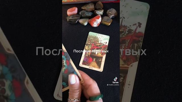 Послание Мёртвых #таро #тарогадание #расклад #гаданиенатаро #tarot #раскладтаро #ведьма #гадание