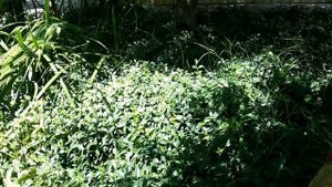 ЗОНА ОТДЫХА НА ДАЧЕ * ДАЧА СВОИМИ РУКАМИ