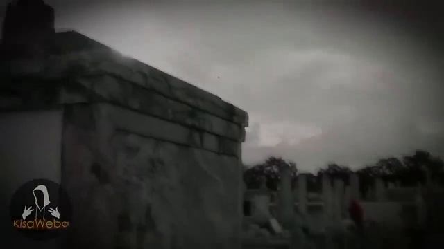 5 Videos de TERROR EXTREMO que NO te Dejarán DORMIR 2021 (VOL. 15) смотреть онлайн