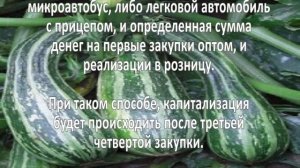 Выращивание кабачков. Бизнес идея