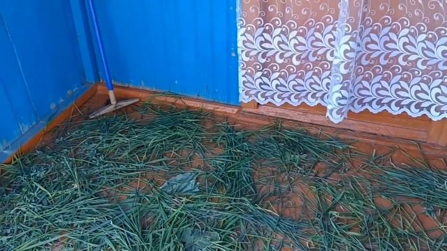Отмечаем Троицу втроём!!!