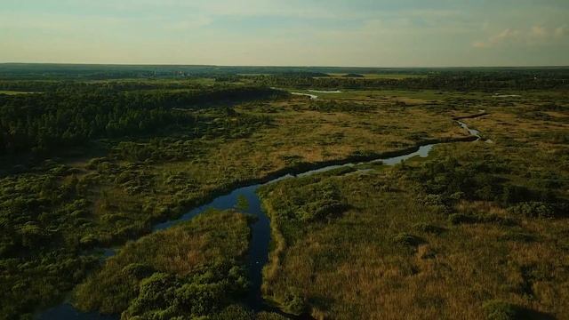 Прилуки / Манжосовка урочище / Удай лебеди / съемка с дрона смотреть онлайн