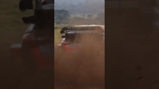 Off-road Thrill | Dani Sordo || I20N WRC Safari Rally Kenya 2023.