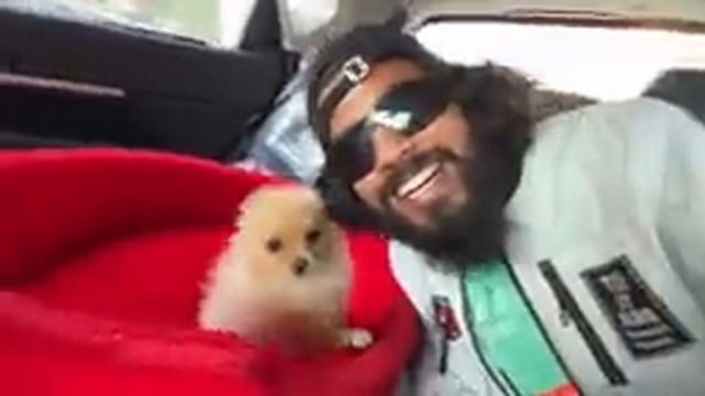 Finally Hamara New Family Member Aahi Gaya ? смотреть онлайн