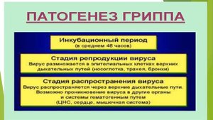 Предмет: Микробиология и вирусология. Урок: Вирус гриппа Преподаватель: Сарсенбаева Х. Ж.