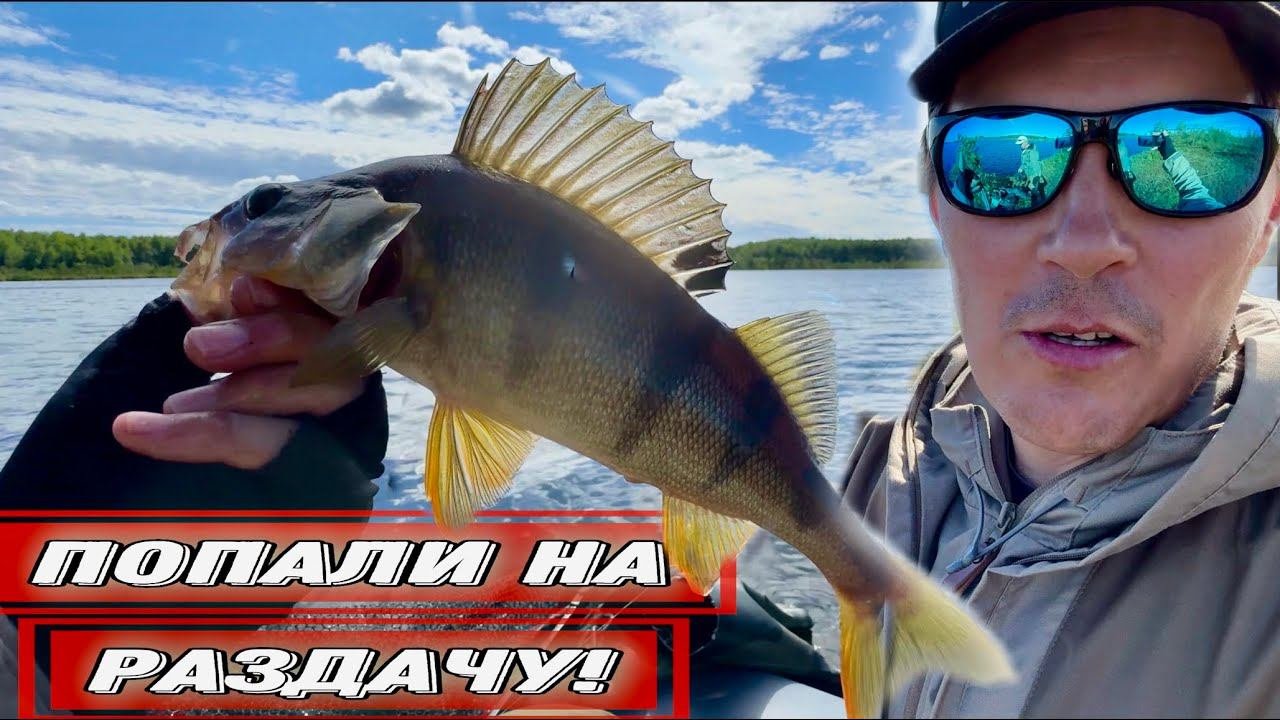 ПОПАЛИ НА РАЗДАЧУ! ПРИМАНКИ, КОТОРЫЕ СОБРАЛИ ВСЮ РЫБУ С ВОДОЁМА.