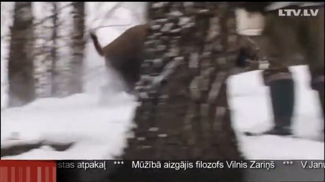 СВИНИНА смотреть онлайн