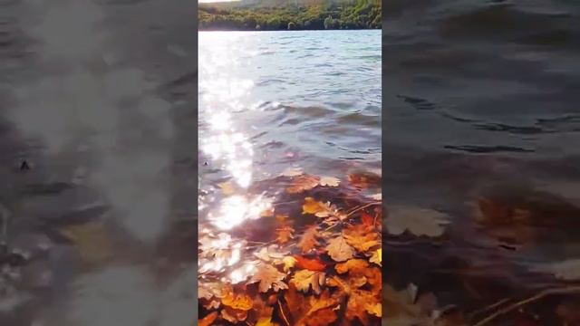 Балановское водохранилище #крым #crimea #природа #осень #рекомендации