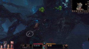 Where and how to get Susur Bark in Baldur's Gate 3