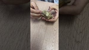 Нормальная анатомия пяточной кости.