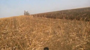 Осеняя пахота на Т-150
