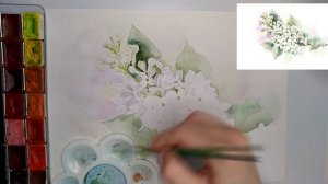 Белая сирень акварелью | Как рисовать сирень #сирень #lilac #урокрисования