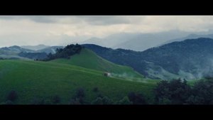 Бременские музыканты. Премьера 1 января 2024.