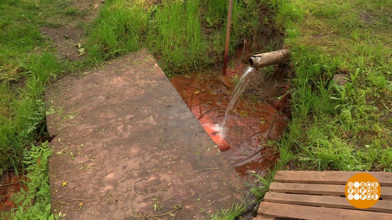 Родники мои - серебряные? Доброе утро. Фрагмент выпуска от 04.06.2020
