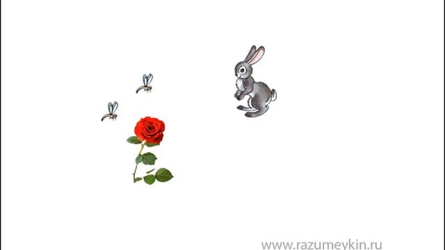 Звуки - Сайт-игра Разумейкин смотреть онлайн