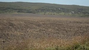 На Гостагаевском кладбище не осталось места для захоронений