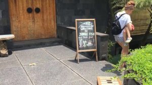 Второй день в Убуде - Жизнь под открытым небом на Острове Бали