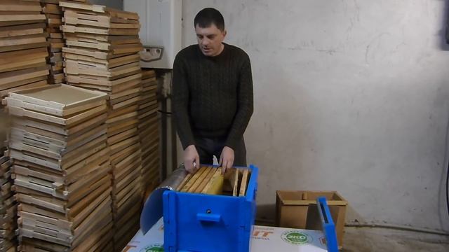 Как получить акациевый мёд с пчелопакета, пересадка пчелопакета и наращивание его силы смотреть онлайн