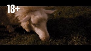 паршивая овца промо