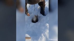Поездка в Село Корлики на рыбалку !2023