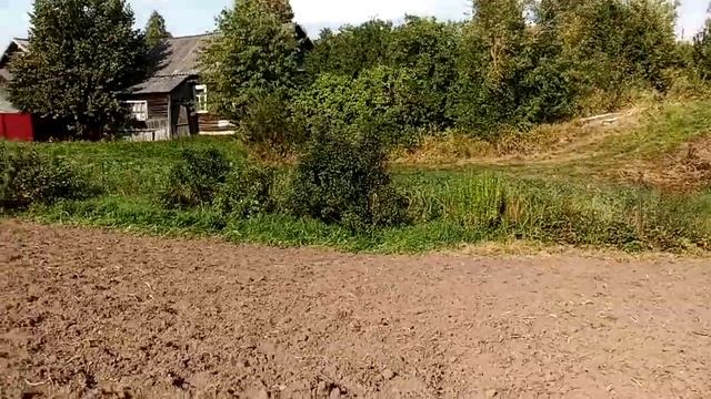 копаем картошку.или как с помощью мотоблока салют выкопать картошку. смотреть онлайн