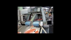 Переработка красной рыбы на фабрике при помощи Baader 200