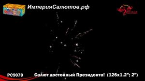 РС 9070 Салют достойный Президента! (1,2; 2"х126 залпов). тел.: 8908 992-43-53 / 89146649499