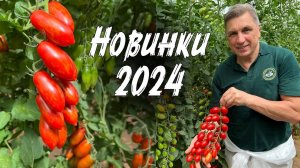 190. НОВЕЙШИЕ ГИБРИДЫ ТОМАТОВ, ОГУРЦОВ и ПЕРЦЕВ на СЕЗОН 2024 от СЕМКО (720p)