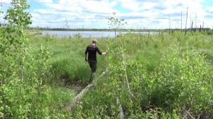 Озеро Подмартыник, Медведевский район Марий Эл