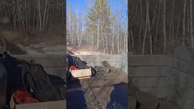 Едем домой после посадок #кедры #лес смотреть онлайн