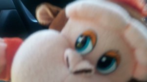 ЛЯГУШКА КОШАЧЬИЙ ЕДЕТ В ТЮМЕНЬ!!