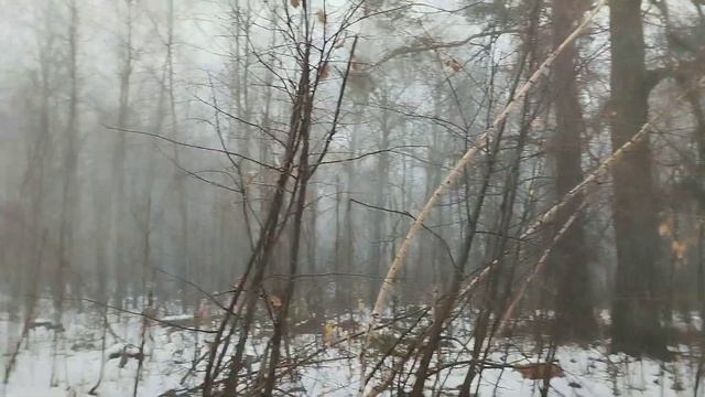 Южный посёлок города Сарапула. Серафимовская церковь и парк в осеннем тумане