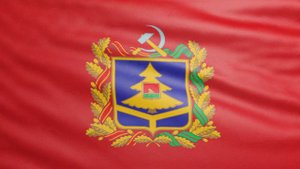 Флаг Брянской области. Флаги субъектов Российской Федерации 08. Зацикленное видео. Бесплатный футаж