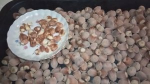 как легко очистить фундук