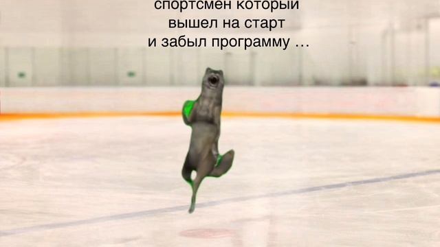 Тренеры поймут ?