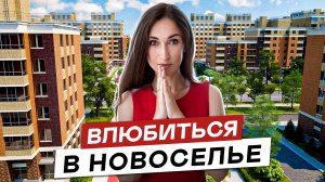 5 Жилых комплексов в Новоселье ЖК Дуэт, ЖК ЛесART, ЖК Таллинский парк, ЖК Уютный и ЖК NewПите